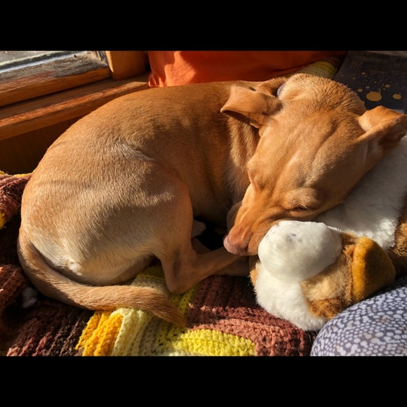 Meet your Posher, Jessica - Picture 2 of 4